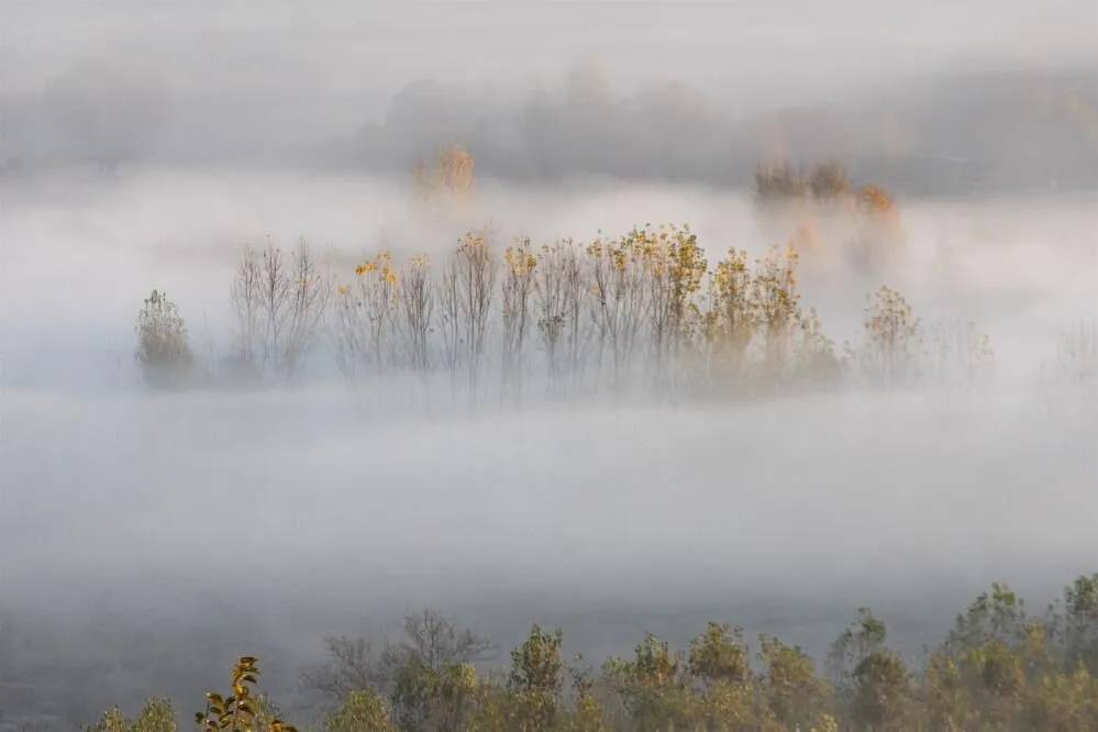 Diyarbakır Hevsel Bahçelerinde sis kartpostallık görüntüler oluşturdu 5